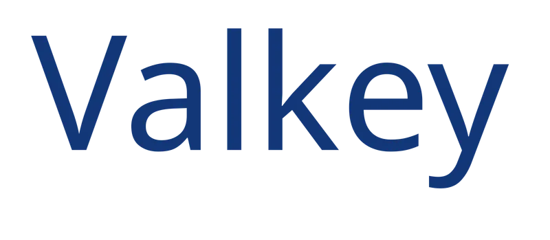 Valkey project logo with the word valkey in dark lettering and a stylised key symbol