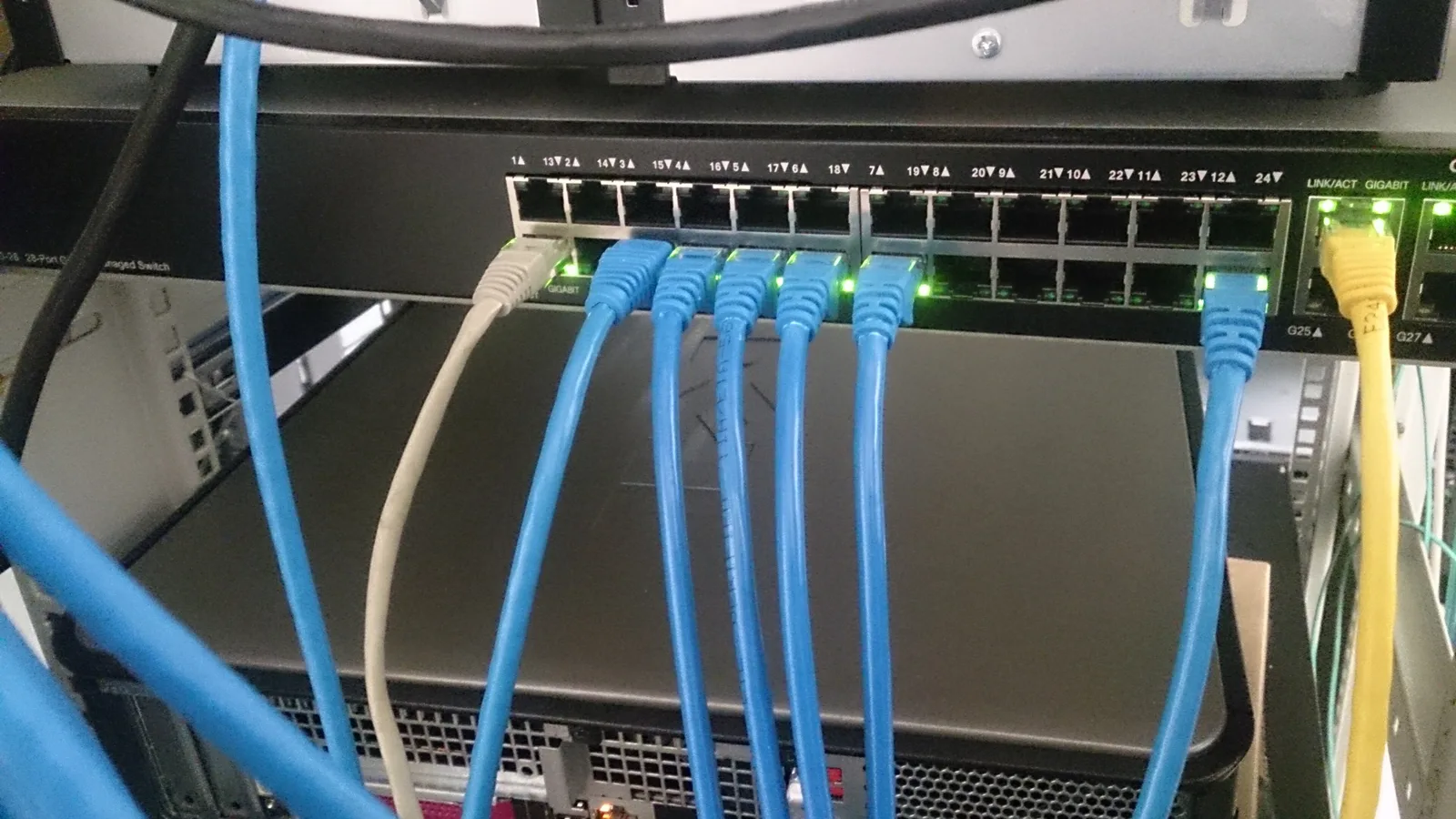 Blue, grey and yellow network cables plugged into a rack-mounted Ethernet switch