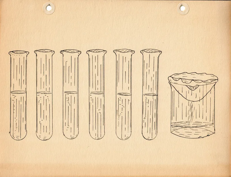 Ink drawing of six test tubes filled to the same level beside a beaker with a paper filter in a funnel