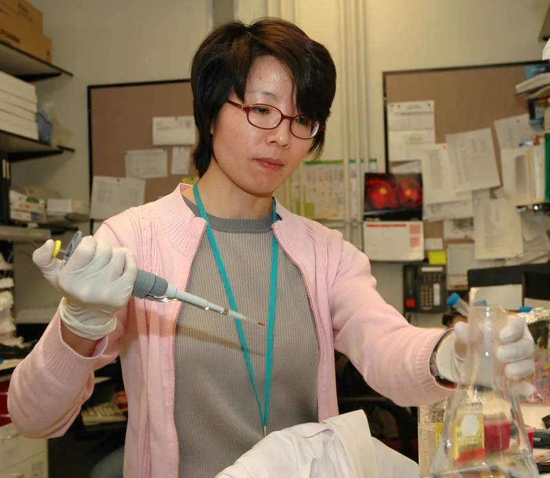 Scientist in a laboratory using a pipette to transfer a sample into a flask