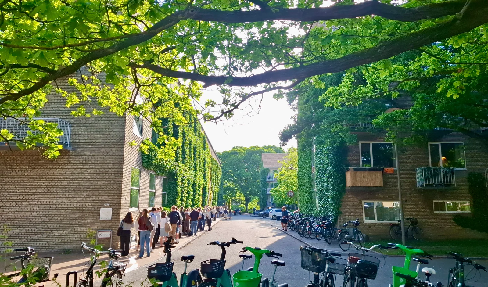 Long line of students queuing along a brick building under green trees, waiting for a university library to open
